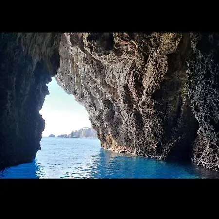 船上ホテル Dolphins Tour Trinacria Escursioni