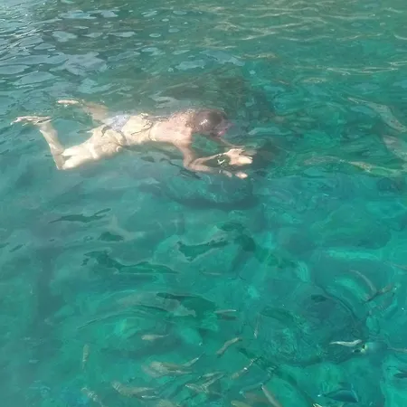 Dolphins Tour Trinacria Escursioni 船上ホテル ジャルディーニ・ナクソス