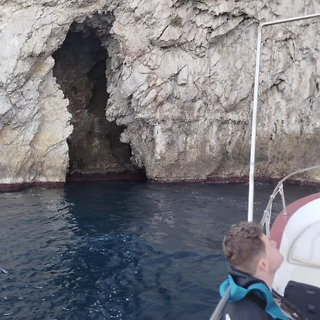 Dolphins Tour Trinacria Escursioni 船上ホテル