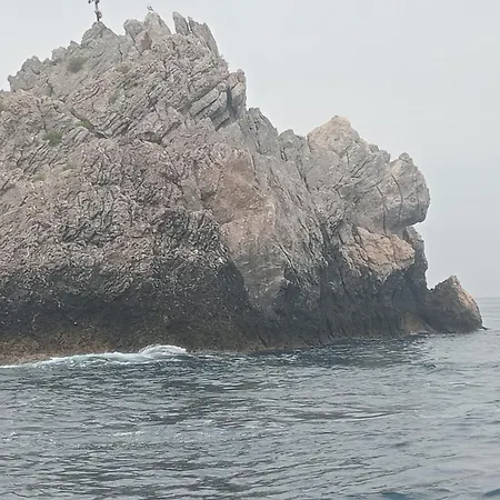 船上ホテル Dolphins Tour Trinacria Escursioni *