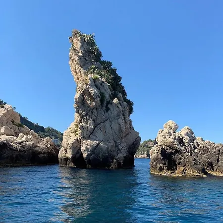 Dolphins Tour Trinacria Escursioni 船上ホテル *