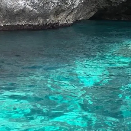 Dolphins Tour Trinacria Escursioni * ジャルディーニ・ナクソス